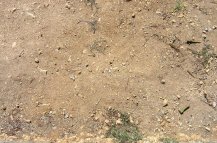 中藥材種植難點之一就是土壤水分管理