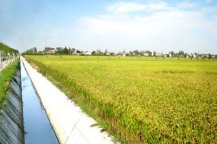 土壤墑情監(jiān)測系統(tǒng)主要有哪些優(yōu)勢？